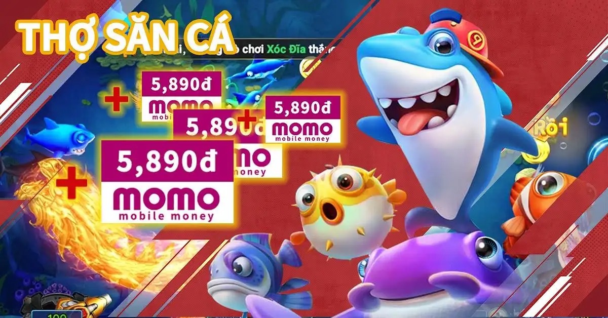 s8bet